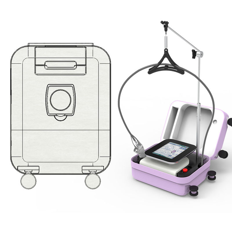 755nm Alexandrite Mini Diode Laser with Smart Touch Screen for Easy Operation in Beauty Industry