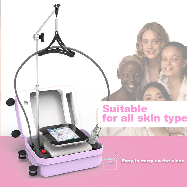 Alexandrite Mini Portable Beauty Equipment Smart Touch  Power Supply Part Bison Light And Easy 755nm Mini Machine Alexandrite 755nm Laser Hair Removal